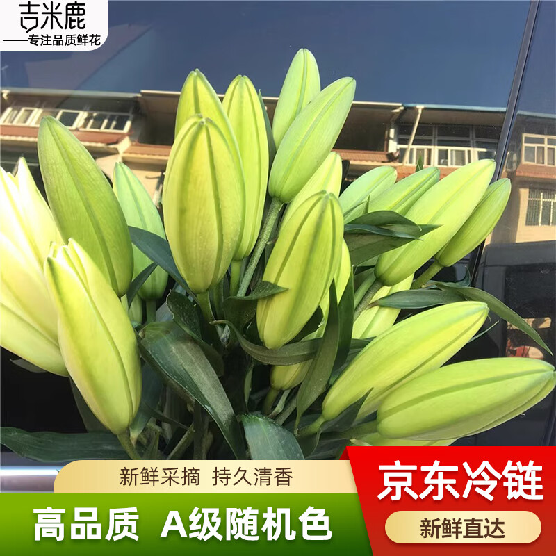 吉米鹿香水百合花鲜花【随机色10朵+送2朵】云南基地鲜切花束源头直发