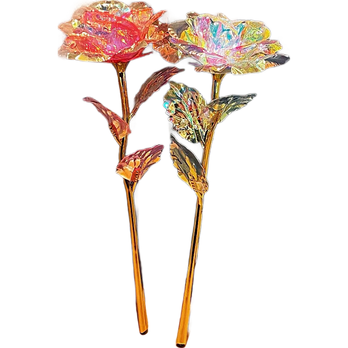 �ʽ�õ���������� 1�� 1Ԫ