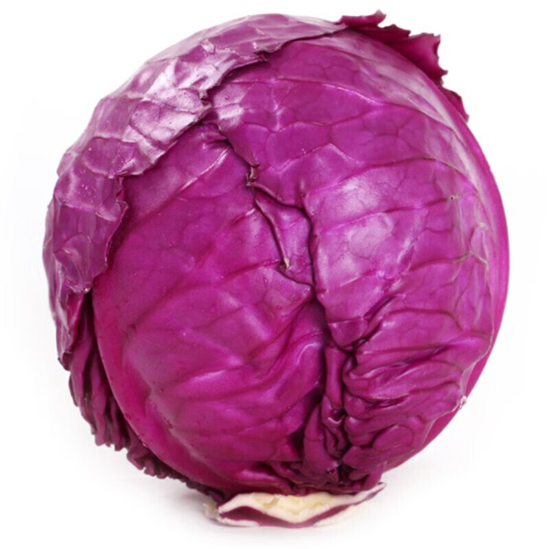 (正常发货）滨淇 紫色甘蓝种子 紫甘蓝种子 紫包头菜种子 蔬菜种子秋季种 甘蓝种子原装5克约400粒