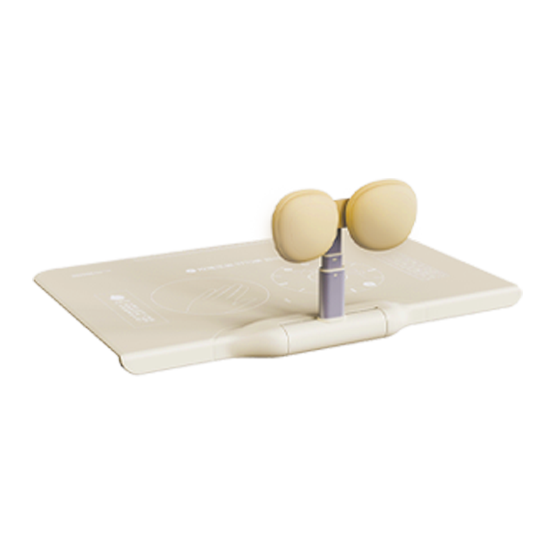 ���ڲ�������������ͯ���˽����������Сѧ��д��ҵѧϰ����д�����ƾ���������ͷ�ձ� ������ 53.9Ԫ