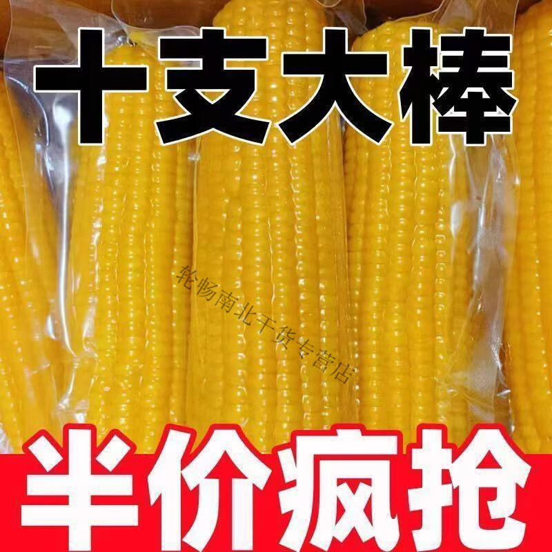 商超同款10根】新店冲量东北糯玉米黄糯玉米真空包装当季糯玉米 黄糯玉米精品(200-220g) 1支