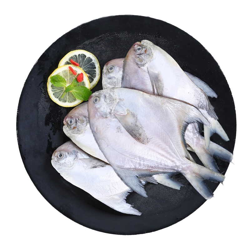 三都港 冷冻东海银鲳鱼550g 5条装 平鱼 海鱼 年货 生鲜 鱼类 海鲜水产 33元