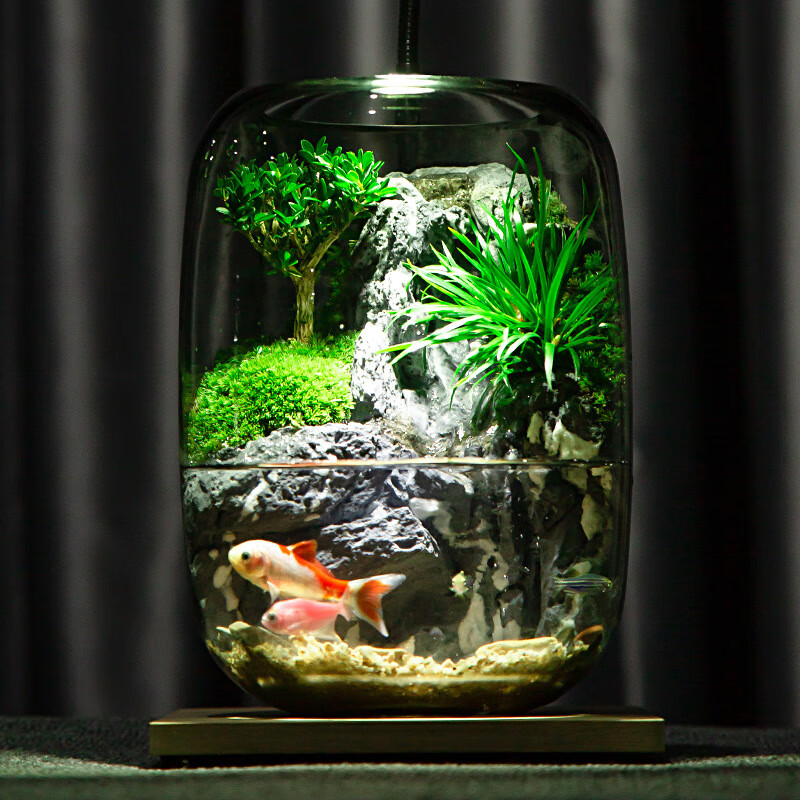 ˮҥֲ̬ƿƿװ΢Сװ칫ڼ Сˮ () 213Ԫ