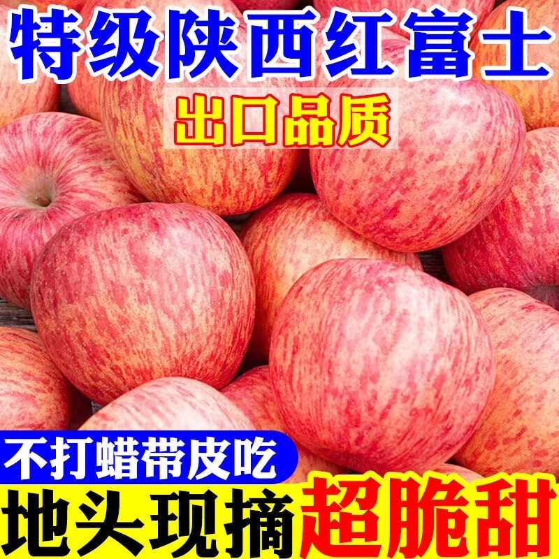 【现摘】正宗洛川苹果当季新鲜水果孕妇脆甜红富士苹果冰糖心水果 膜袋富士70mm+带箱9斤