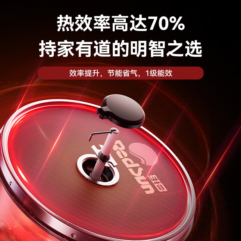 红日（RedSun）定时免改孔小底壳猛火70%热效率DX20聚能红外线灶具加厚防烫双灶 70%高热效率免改孔定时爆炒红外灶 DB10 天然气