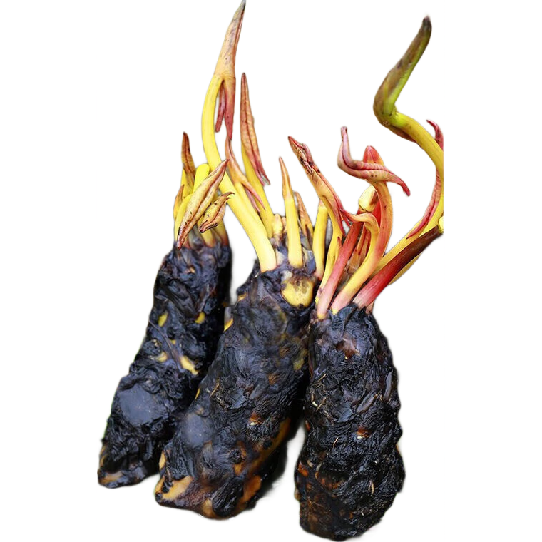 ˯ɻдźˮˮˮ׺Ҷ ˯ 5-ɫ 7.25Ԫ