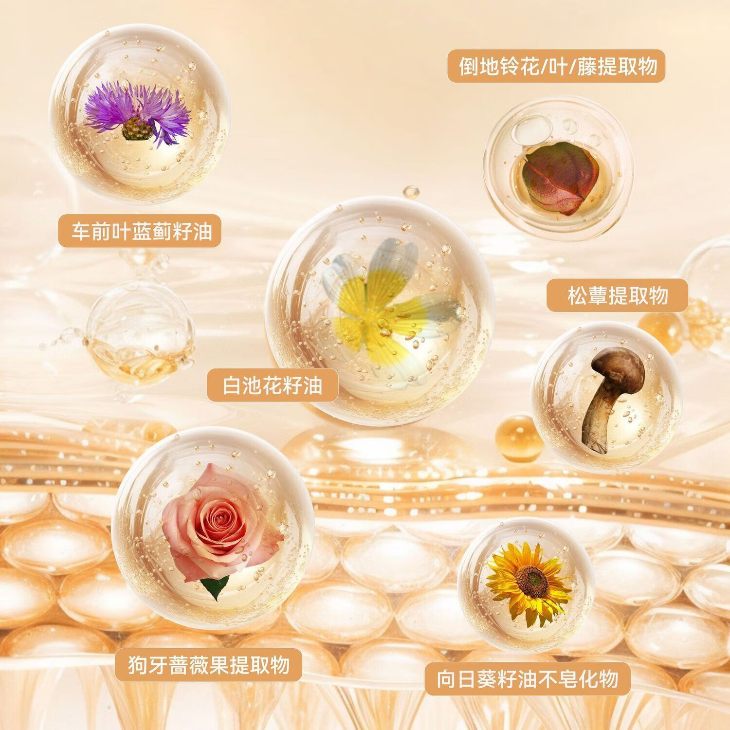 PINKPUNK【精选百货】气垫遮瑕持久持妆不脱妆滋润养肤粉底液大光圈磨皮自 #P01冷白色