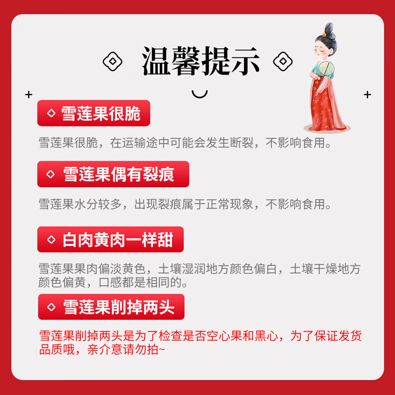 京愿云南特产天山雪莲果 天山红泥沙雪莲果黄心新鲜水果生鲜水果 优选10斤装（净重9斤）