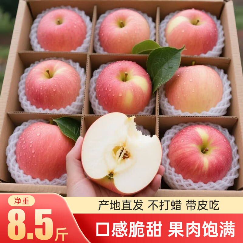 小博生鲜山西红富士苹果25年当季水果生鲜脆甜新鲜时令平安果产地直发整箱 【8.5斤】单果65mm+山西红富士