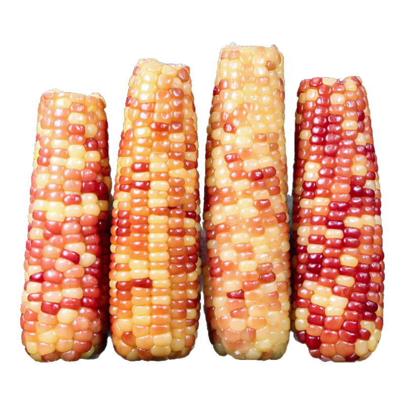 ���ϻ�Ŵ���� ��˫�����ز� ��ŴС���� 1�Լ2-4���� 4.49Ԫ������ȯ��