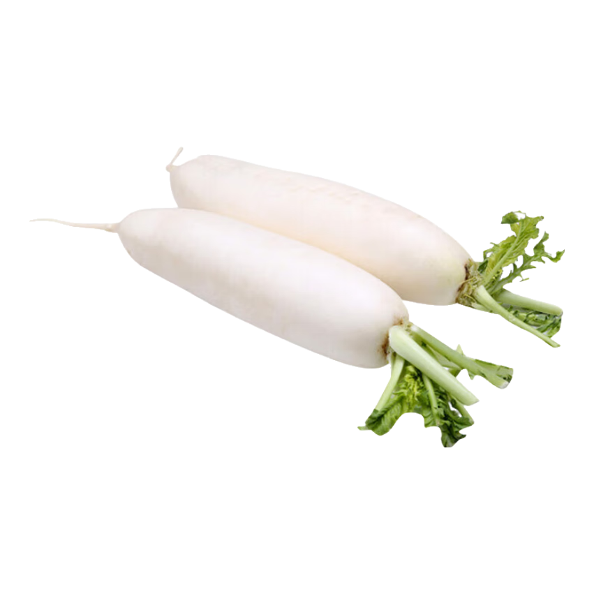 新鲜白萝卜当季蔬菜爽脆多汁清甜微辣早餐多样烹饪真便宜京东 9斤 带箱