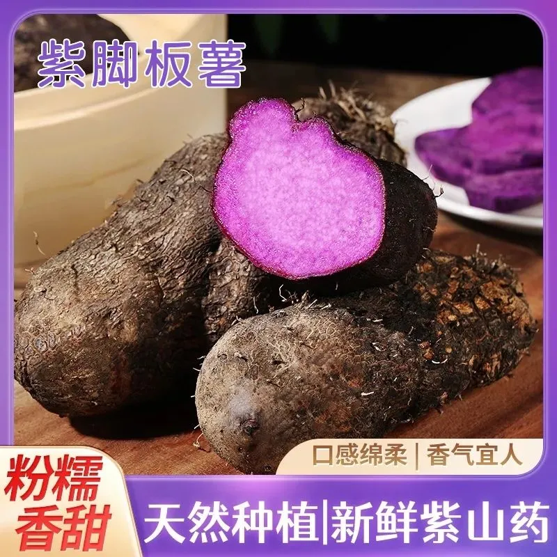 广西正宗脚板薯紫山药老品种紫色皮大薯火苕毛薯新鲜 5.4斤脚板薯（紫山药-形状不规则）含箱