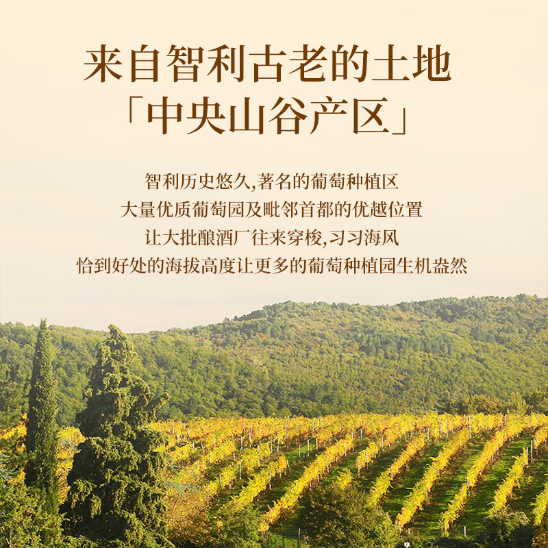 赫图令（HERTDIIG）【国际三项金奖】智利原瓶进口红酒干红葡萄酒整箱送礼盒装 【获国际五项金奖】1箱6瓶