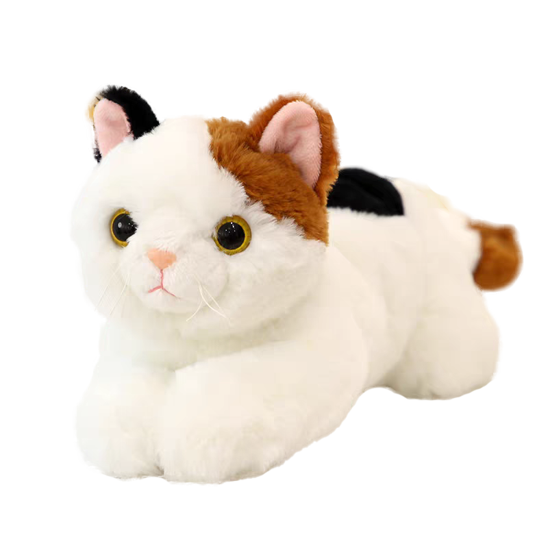 ����ͨ ����è���� ë�������ż 50cm �������� �������� 42.82Ԫ