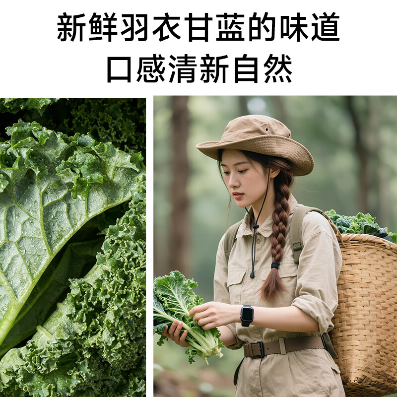 Boyer羽衣甘蓝搭蔬菜膳食纤维减脂肪瘦肚子阻断碳水高纤维饱腹代餐粉 【轻体代餐】羽衣甘蓝粉 15袋*1盒 阻隔糖碳