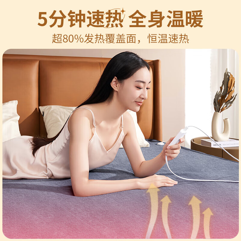 彩阳单双人智能自动断电双控双温无纺布电热毯电褥子 灰色【三档控温可除螨】 单人单控150cm*70cm