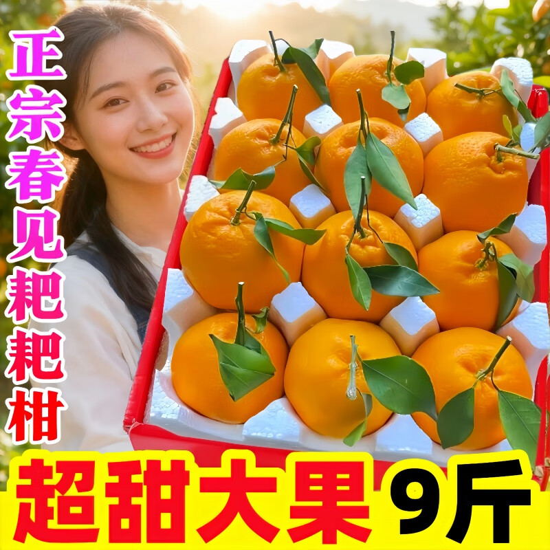 正宗四川春见耙耙柑新鲜水果粑粑柑杷杷柑应当季超甜橘子整箱包邮 净重5斤精品大果【单果75-80mm】80%选择