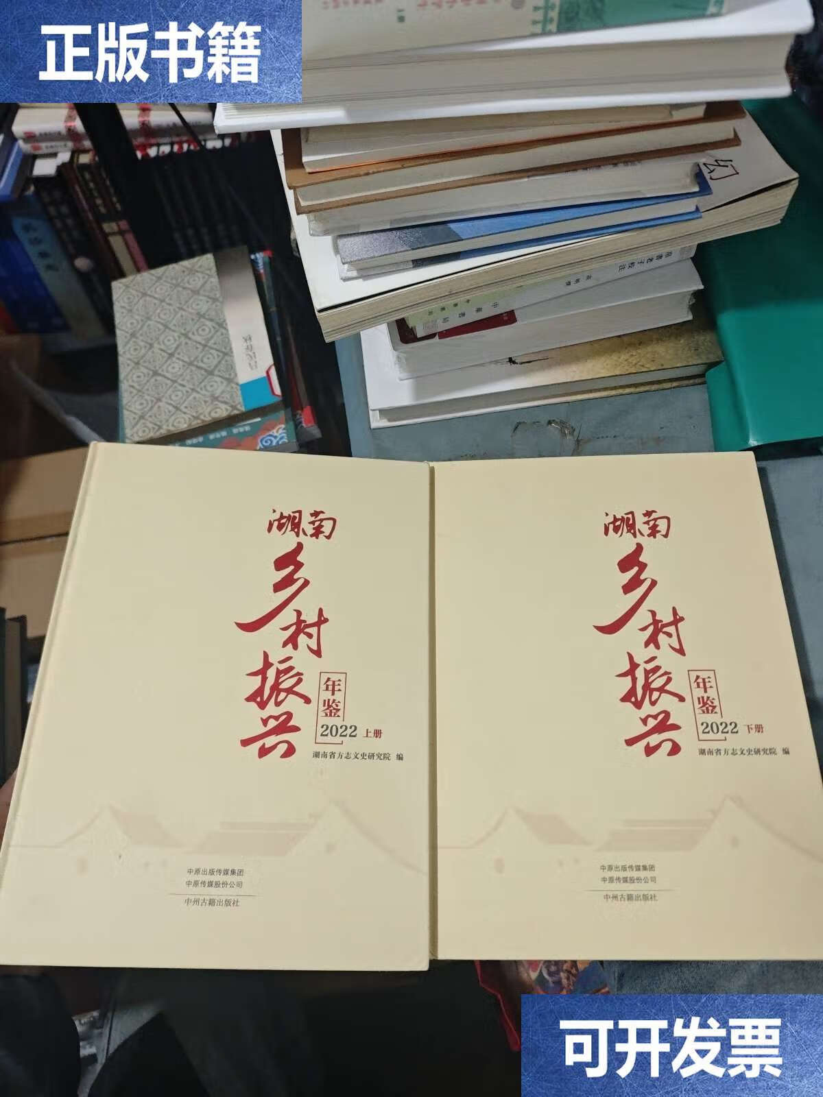 湖南乡村振兴年鉴 2022 上下 /湖南省方志文史研究院编