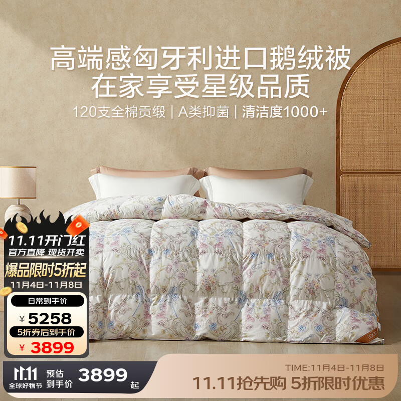 博洋（BEYOND）家纺被子被芯95绒子进口白鹅绒被100支A类羽绒被加厚保暖冬被 【120支+匈牙利鹅绒】普罗旺斯 220*240cm 冬被