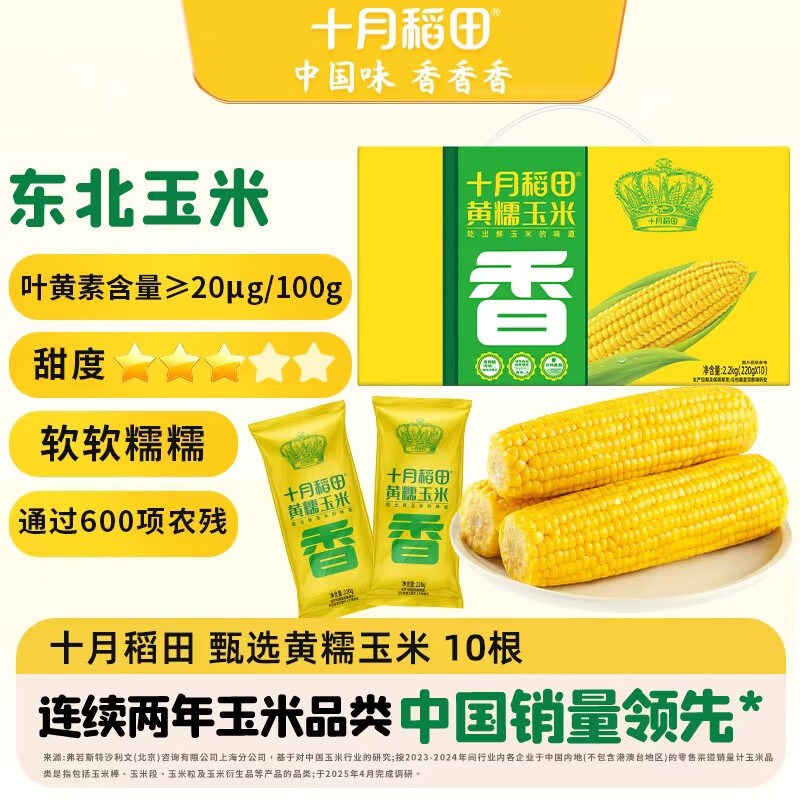 十月稻田 黄糯玉米 10根 4.4斤 东北粘玉米棒 低脂早餐 杂粮 粗粮礼盒