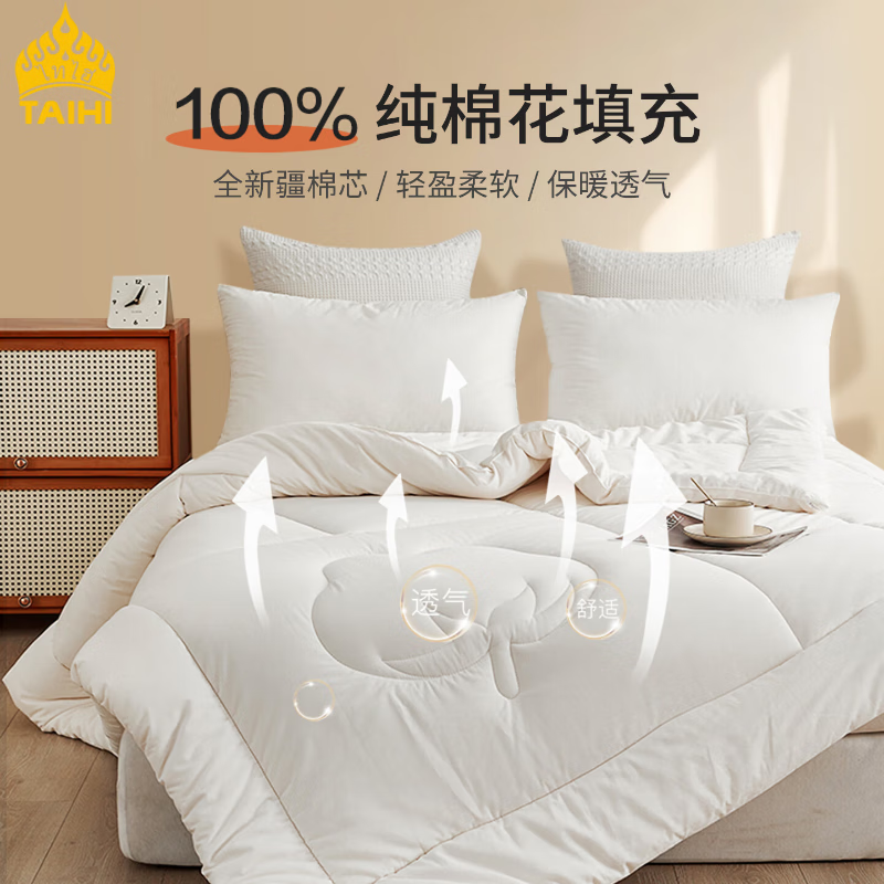 TAIHIA类全棉棉花被四季新疆棉秋冬加厚被芯保暖被子 新疆生态棉蓬松棉花被 200cm*230cm-6斤