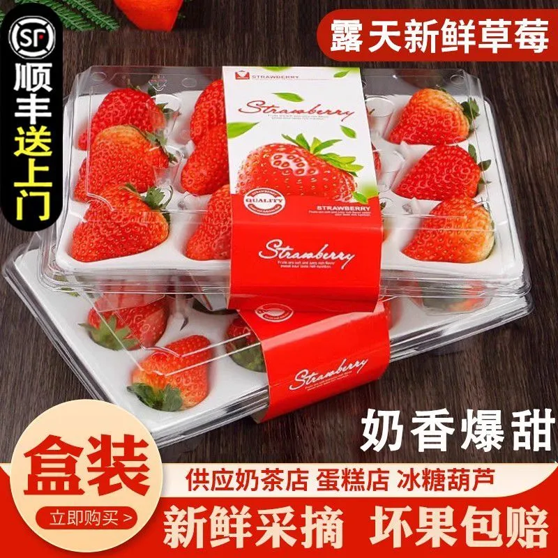 金百粟大凉山新鲜草莓红颜99 水果甜奶油草莓 生鲜礼盒送礼 【顺丰到家】大凉山草莓2盒特大果彩箱送礼 京东折扣/优惠券