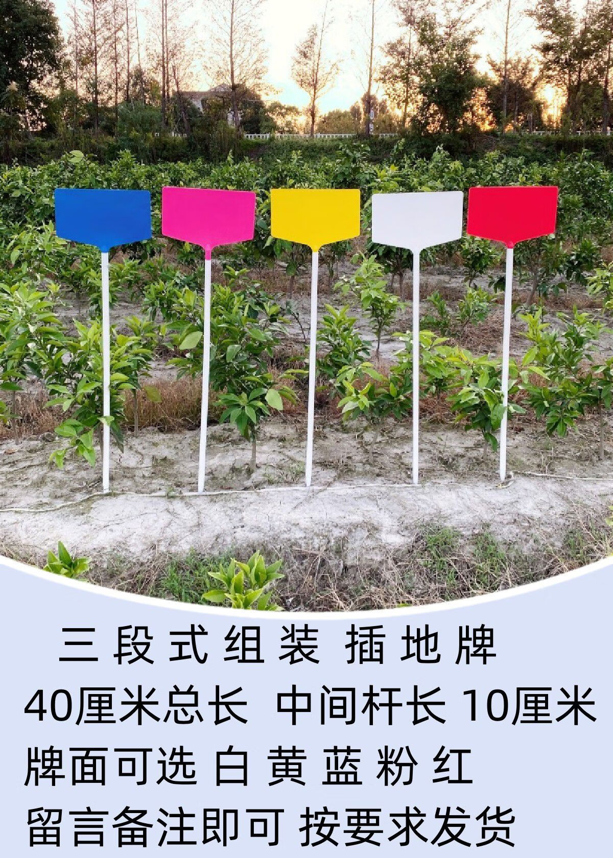 加高园艺标签插地杆植物标记牌玉米水稻试验插地牌大田插地牌 40cm总