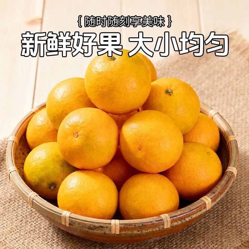 麻阳冰糖橙湖南特产当季新鲜橙子鲜甜多汁现摘小甜橙子脐橙水果 净重8.3-8.5斤大果【单果60-65mm】