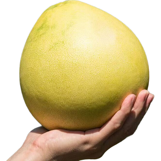 ƽ gϪ  1װ 4-6 4.9Ԫ