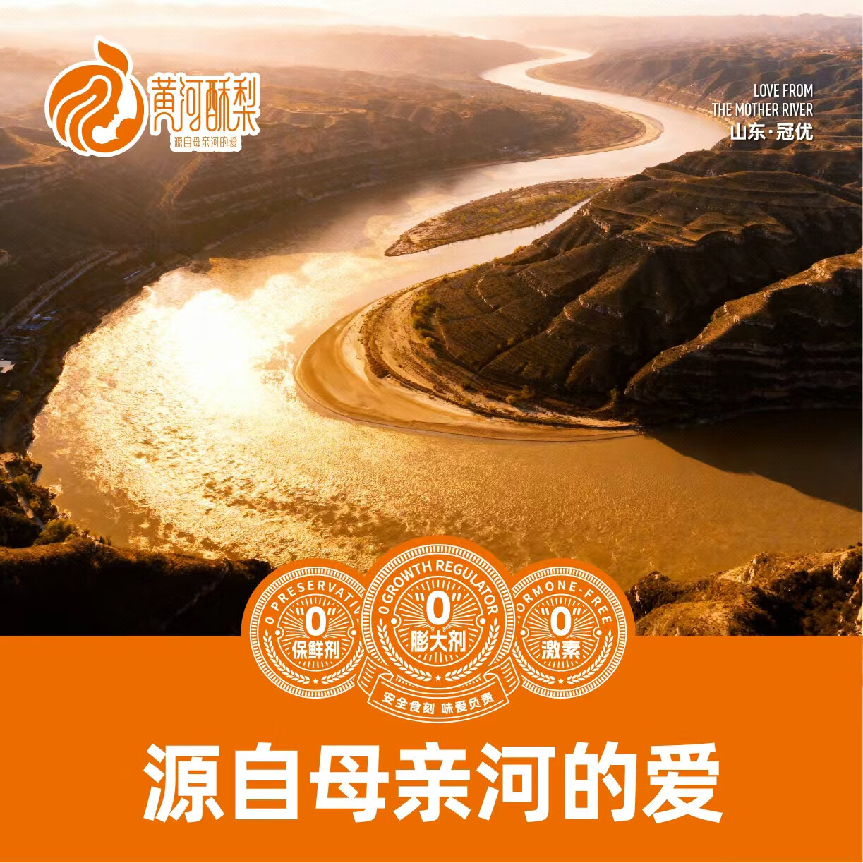 黄河酥梨 官方正品 尝鲜两粒装生鲜水果 农产品 特产 2粒(单果1斤~1.2斤)