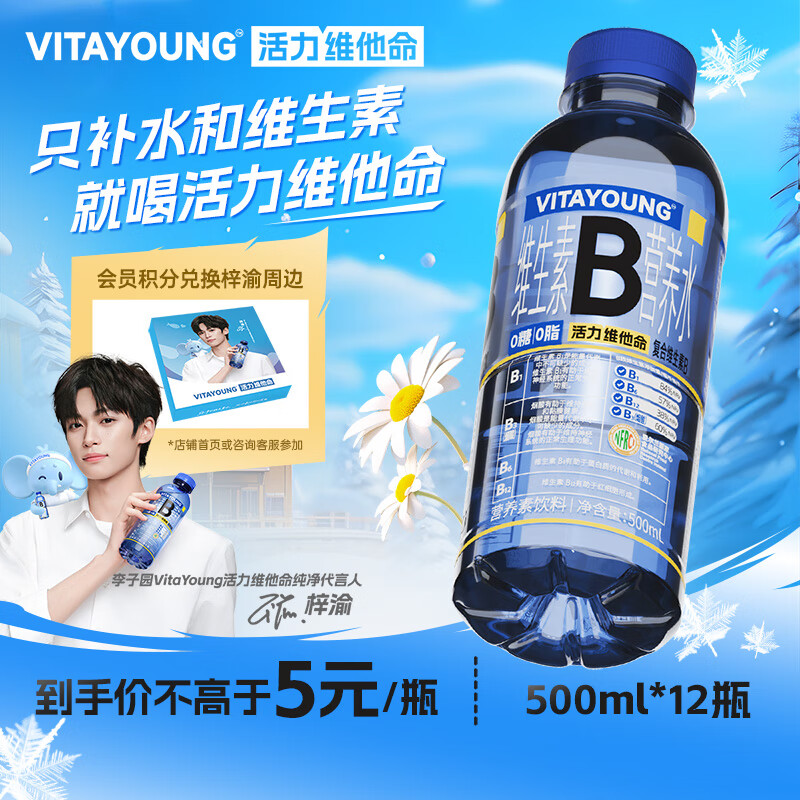 VITAYOUNG活力维他命水维生素B菊花味营养水运动功能饮料500ml*12瓶