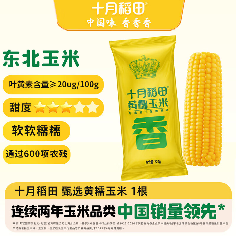 十月稻田 黄糯玉米 1根 220g 东北粘玉米棒 低脂早餐 杂粮粗粮