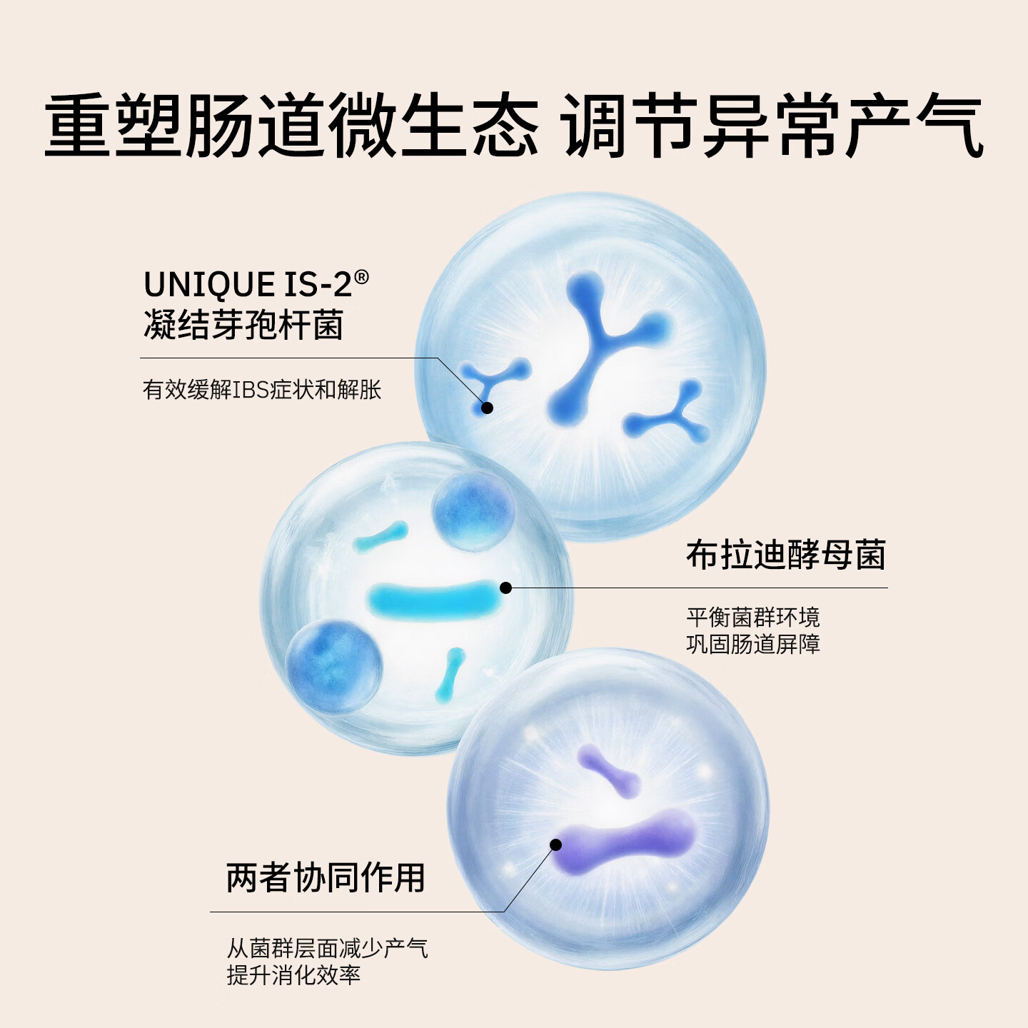 My Way Up肠道轻盈胶囊肠渗漏调理肠胃益生菌粉肠道健康60粒