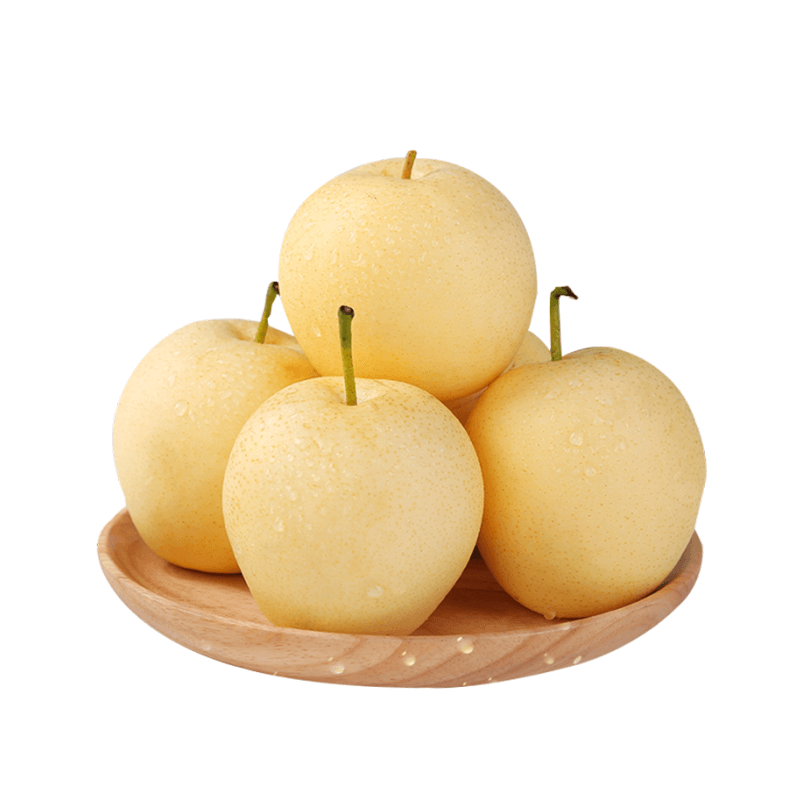 绿熊庄园山西贡梨果冰糖蜜梨农家果园新鲜采摘酥脆多汁应季现发孕妇水果 大果净重4.5斤【单果200g往上】