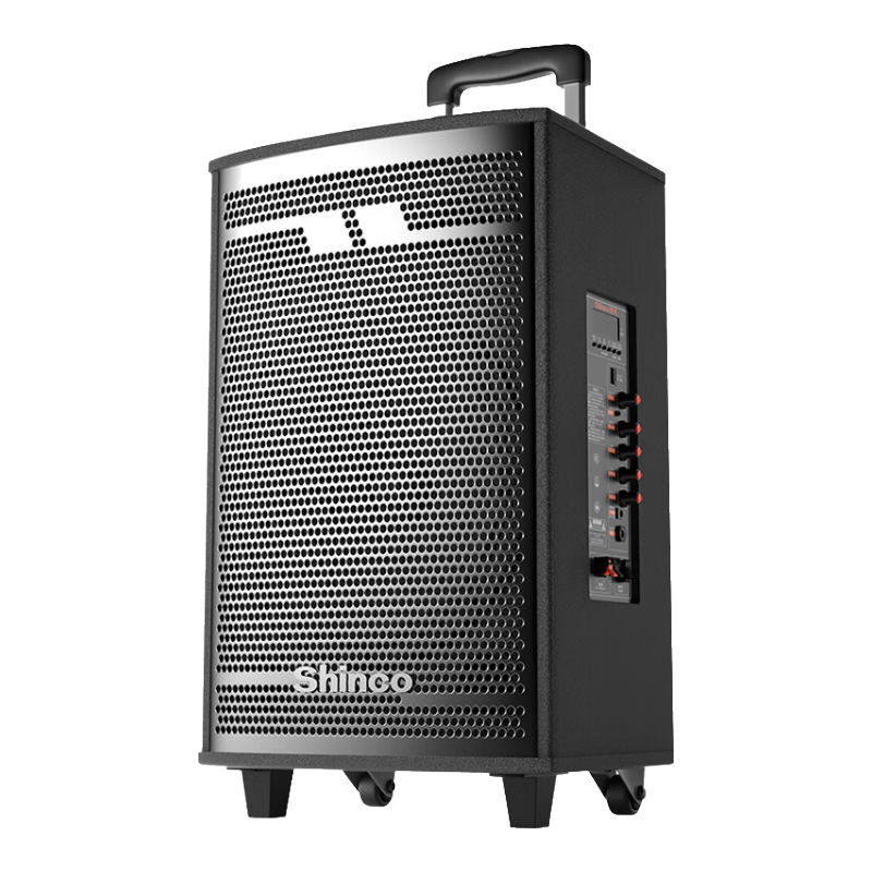 新科T30 廣場(chǎng)舞音響木質(zhì)大功率便攜式戶(hù)外重低音藍(lán)牙k歌專(zhuān)用大音量移動(dòng)拉桿音箱室外演出8吋雙話(huà)筒