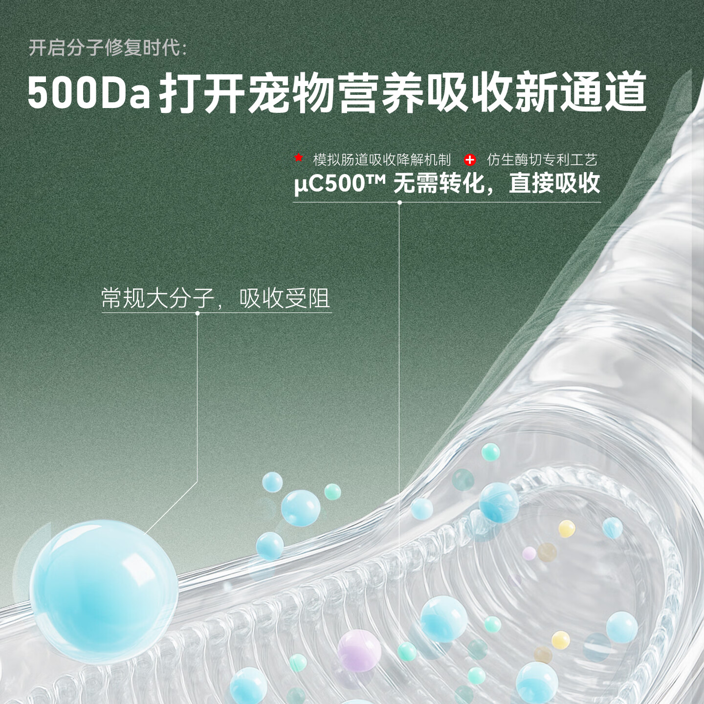 COCO PHIL158倍小分子 鲨鱼软骨素猫用 猫咪关节保护 宠物营养补充剂 猫用小分子鲨鱼软骨素专业版