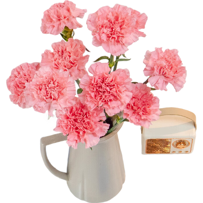 ����ܰ�ʻ���������ˮ���ʻ����������ʻ�����ֱ�� ���ɫ����ܰ10֦ 9.9Ԫ