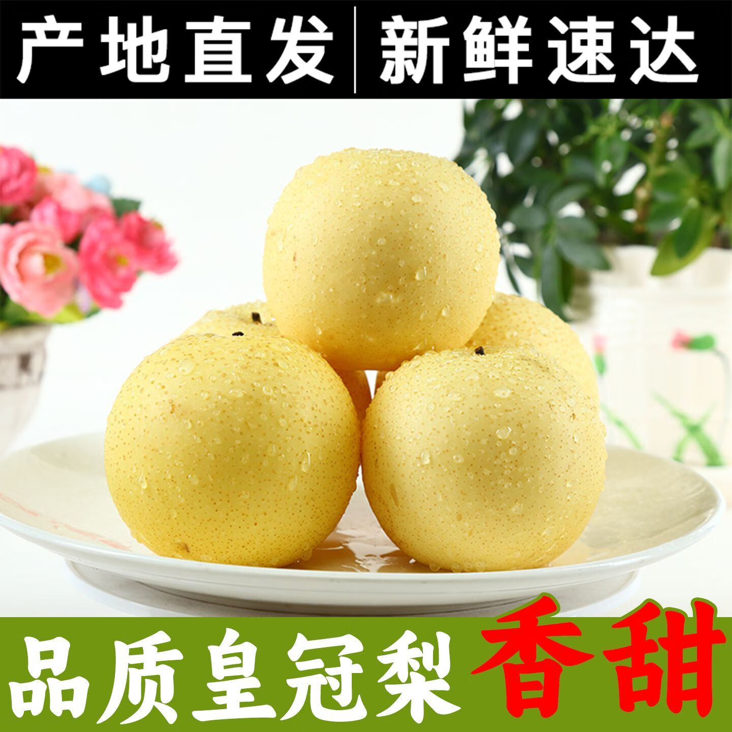 喜酷橙河北皇冠应季梨子薄皮新鲜水果当季雪梨酥梨 9斤