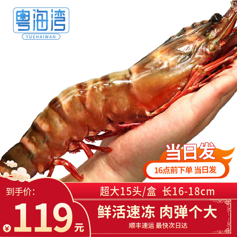粤海湾南海巨型黑虎虾超大特大号 老虎虾大虾生鲜海鲜礼盒年货送礼虾类 超大15头 700g(净重)  长16-18cm 顺丰/深圳|北京|武汉发货