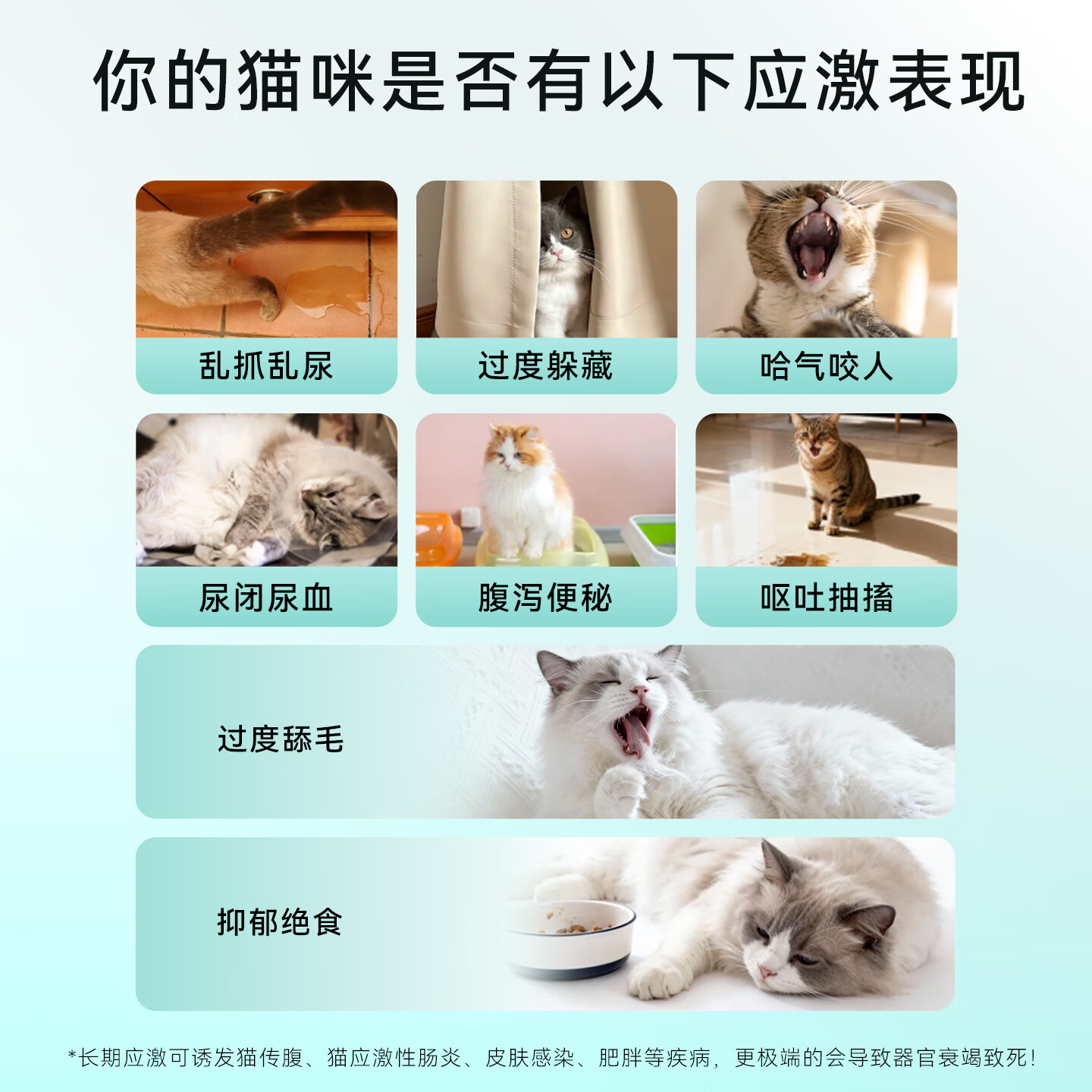 杨医生费洛蒙公母猫咪发情外出防应激情绪舒缓剂安抚喷雾缓解厌食恐惧 防应激专用 50ml;一瓶