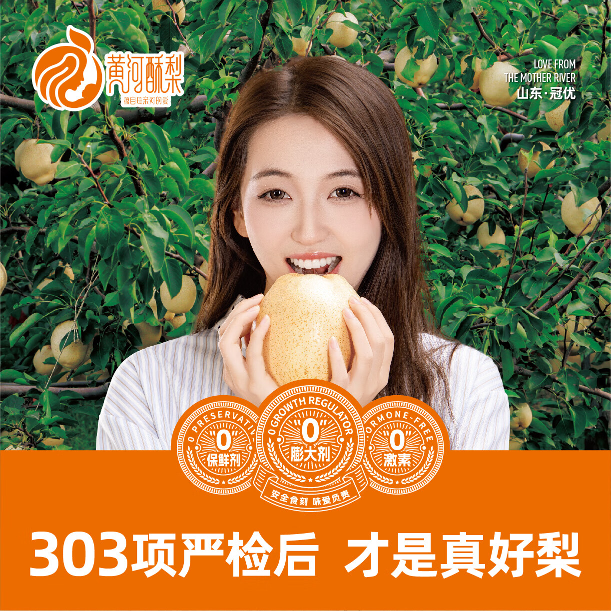 黄河酥梨 官方正品 尝鲜两粒装生鲜水果 农产品 特产 2粒(单果1斤~1.2斤)