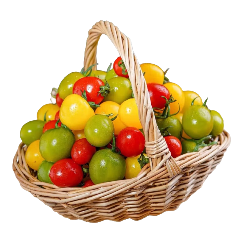 ��ɫƷ����ɫС����ʥŮ������С���������������ר�� �����óԡ�������ɫС���� 3�� 17.9Ԫ