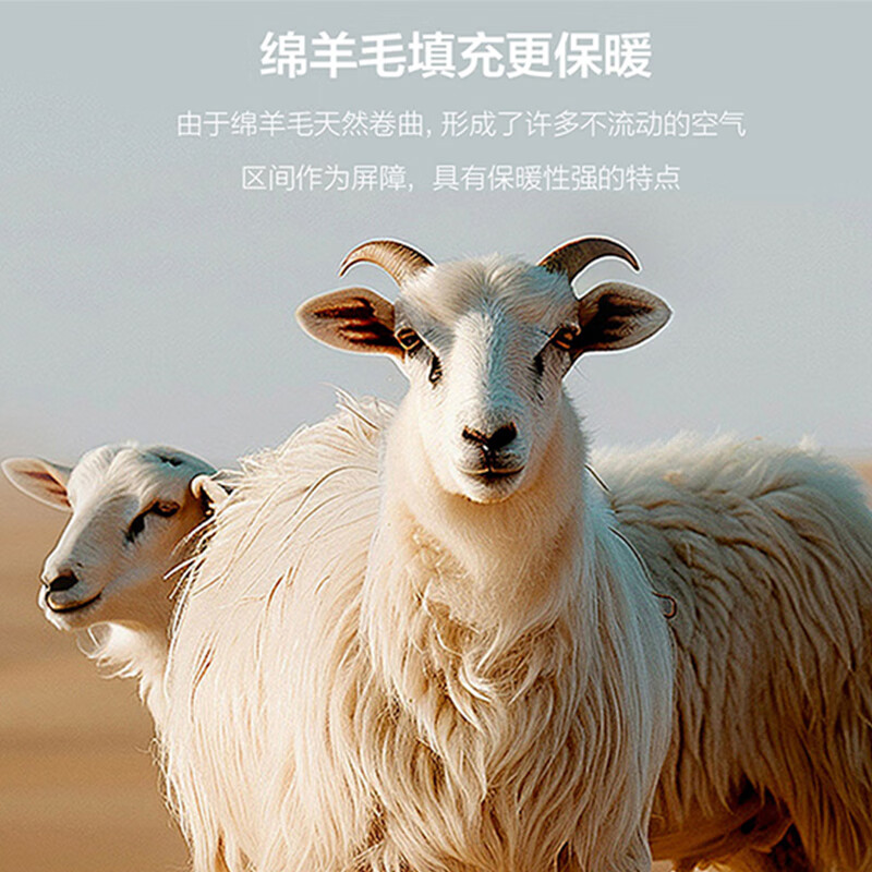 相伊恋人保暖裤女秋冬季高腰羊毛加绒加厚棉裤大码防寒线裤可外穿打底秋裤 深麻灰 【羊毛填充-速暖发热】 2XL 【建议130-150斤】