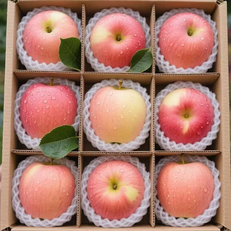 小博生鲜山西红富士苹果25年当季水果生鲜脆甜新鲜时令平安果产地直发整箱 【8.5斤】单果65mm+山西红富士