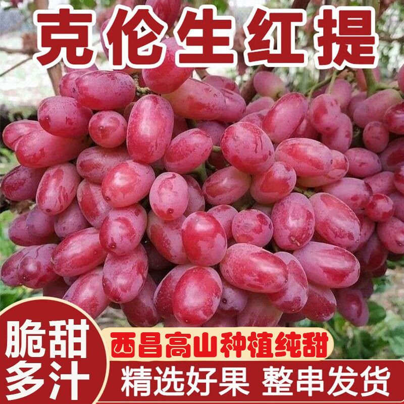 大凉山西昌克伦生无籽红提新鲜应季孕妇水果脆甜葡萄整串纯甜提子 净果2斤 JD/顺丰快递送货上门