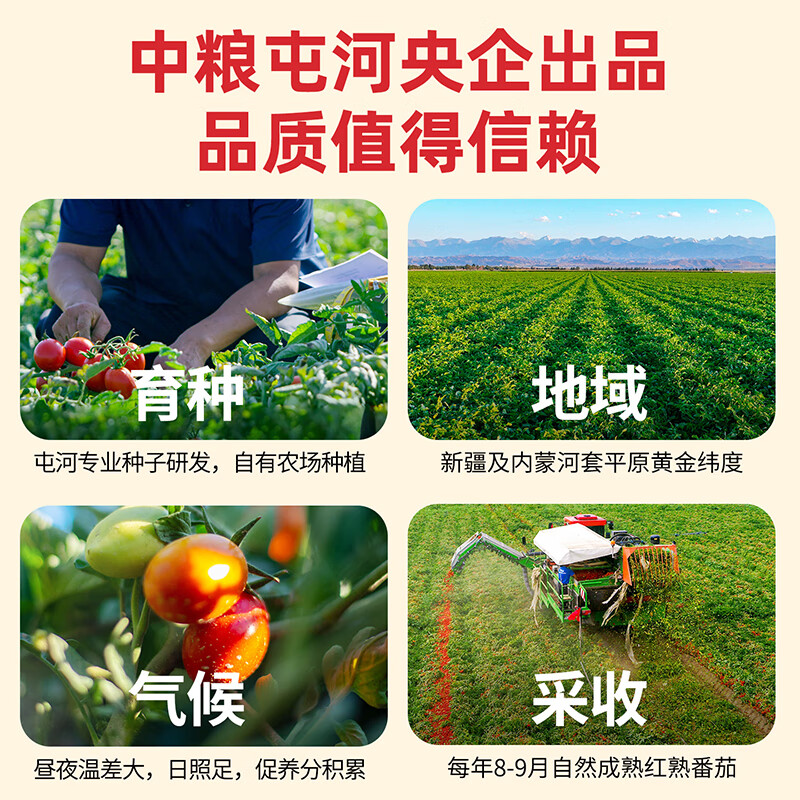 屯河【25年8月新货】内蒙新疆番茄块配料干净新鲜番茄西红柿块罐头 番茄丁410g【25年8月新产季】 6罐