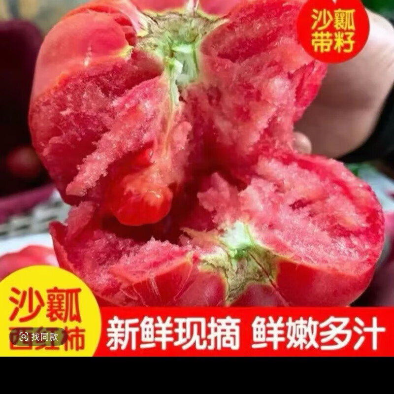 新农聚山东普罗旺斯生吃西红柿新鲜自然熟沙瓤大番茄现摘水果蔬菜粉柿子 普罗旺斯西红柿-品质保证【坏果包赔】 1g 净重5斤【单果100克120克】中果
