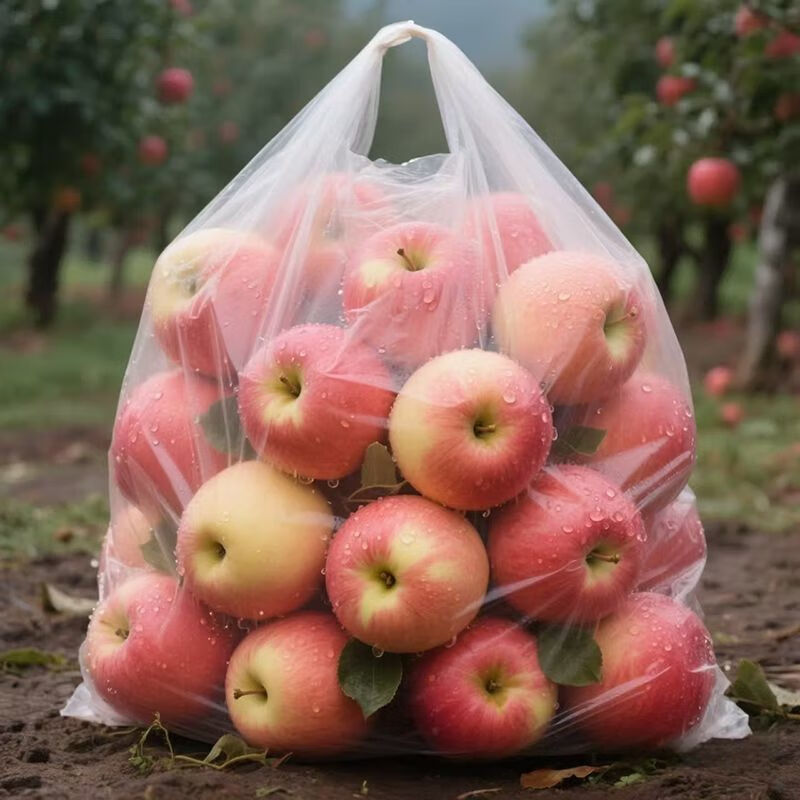 肃食山西红富士苹果2025年新果苹果脆甜可口山西运城特产新鲜水果采摘 8.5斤【单果80mm+】