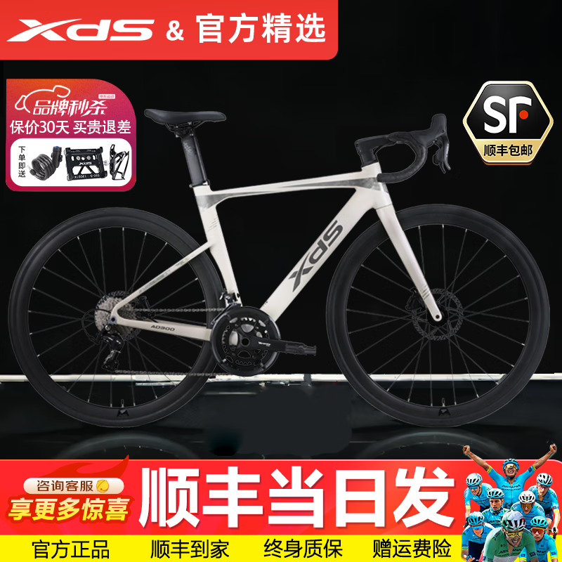 喜德盛（xds）新款AD350公路自行车12速碳纤前叉座管功率计 25款AD300白蛇 480mm|推荐身高（165-175cm）