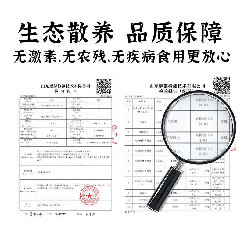 颐乡情现杀农家散养新鲜鸭肉生鲜白条鸭冷冻整只樱桃谷鸭大白鸭老土鸭子 农家仔鸭2只【净2斤1只】+料包+人参